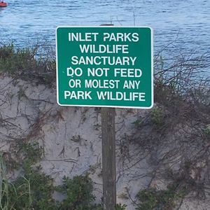 Meet your Posher, Bronson